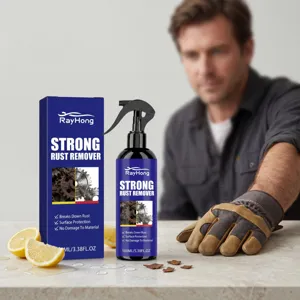 RayHong spray antirouille puissant 100ml pour nettoyage de surface de pièces en métal