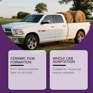 Homonth Auto Keramik Beschichtung Spray Detailansicht fuer optimalen Schutz und Lackpflege.