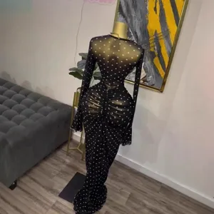 Mesh sheer long sleeve polka dot ruched maxi dress detail showcasing back design.