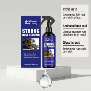 Vue détaillée du flacon pulvérisateur de rouille RayHong 100ml avec ingrédients actifs.
