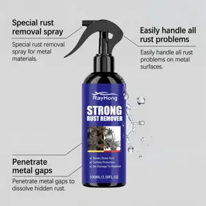 Spray antirouille puissant RAYHONG pour pièces métalliques, nettoyant 100ml anti-rouille.