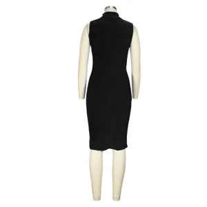 Back view detail of elegant black sleeveless high-neck dress, perfect for autumn styling.