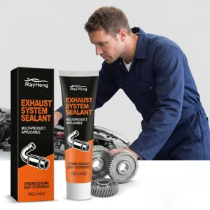 RayHong auto uitlaat systeem kit tube en doos detail weergave met sterke afdichting.