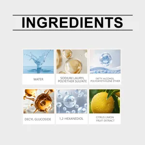 Car interior cleaner ingredient detail graphic showing natural formula components.