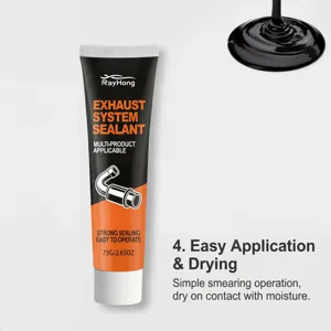 RAYHONG auto uitlaat afdichtingskit, 75g tube voor sterke afdichting en snelle droging.