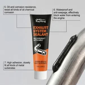 RAYHONG uitlaatsysteem kit detail, hittebestendig, oliebestendig en met sterke kleefkracht.