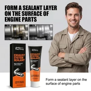 Rayhong Uitlaatsysteem Afdichtingsmiddel 75g Tube Hoge Temperatuur Motor Reparatie Lijm Auto