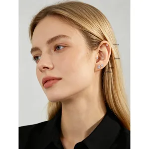 Orecchini a lobo in argento S925 con zirconi, modello multi-misura elegante e brillante