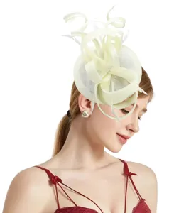 Elegant women's fascinator hat with feathers and mesh for party wedding bridal headwear
