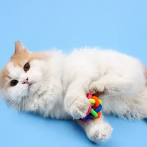 Colorful woven cat toy ball with internal bell, interactive pet toy for active kittens.