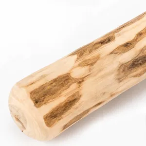 Natural coffee wood dog chew stick, pet molar toy with textured surface for dental health.