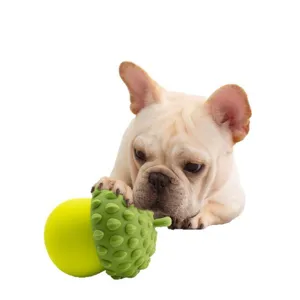 Jouet a macher chien silicone, distributeur interactif de friandises vert gland.