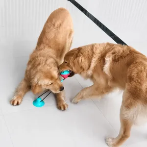 Pet dog suction toy with molar chewing function and built-in bell for interactive play.