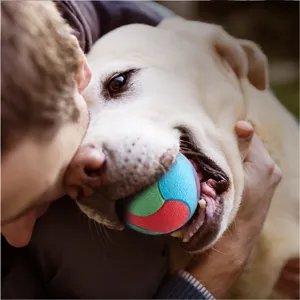Interactive dog toy ball for large dogs, colorful rubber chew toy for teething and boredom relief