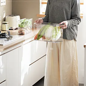 Boîte de rangement en plastique transparent pour cuisine réfrigérateur légumes frais.