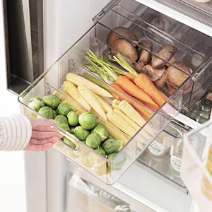 Tiroir organisateur de réfrigérateur transparent pour stockage et conservation des légumes
