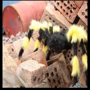Detailed close-up of the giant hairy Halloween spider prop with yellow and black plush.