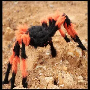 Halloween giant plush spider toy prop, black and orange fuzzy tarantula for party decor.