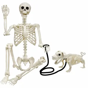 Squelette Humain d'Halloween Plastique Articulations Mobiles Modèle d'Os de Crâne Squelette de Chien Accessoires Effrayants de Maison Hantée Ornement de Fête