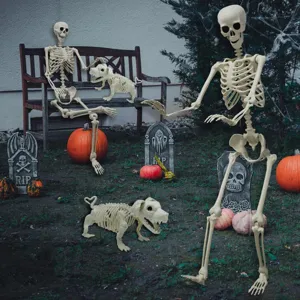 Ensemble d'accessoires de squelette d'Halloween avec squelette humain et chien squelette.