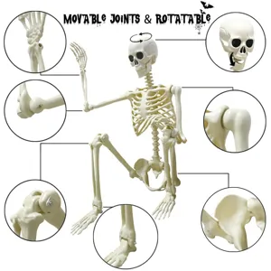 Detail de squelette plastique d'Halloween montrant les articulations et rotules mobiles.