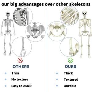 Image de détail de squelette d'Halloween montrant des caractéristiques d'os durables et épais.