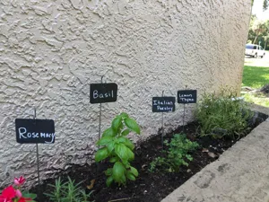 Outdoor garden plant labels and natural slate markers detail in a real soil setup display.