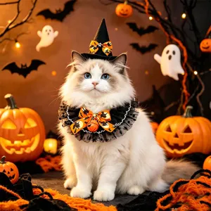 Halloween kat heksenhoed en kraag huisdier kostuum set, schattige pluizige kitten outfit.