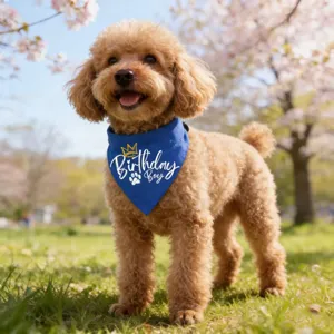 Detailed shot of a blue pet birthday bandana featuring Birthday Boy text and cute crown design.