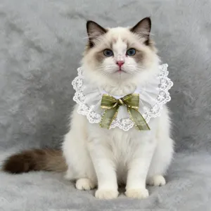 Detail view of a cute lace pet cat collar featuring an elegant green bow tie decoration for cats.