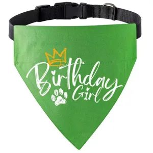 Dog birthday bandana detail view, green pet bib collar with crown and text design.