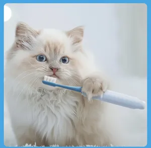 Close-up detail view of a pet toothbrush for dental care, featuring a clean ergonomic handle.