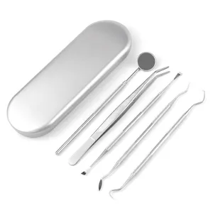 Outil de Retrait de Tartre Dentaire pour Animaux Kit de Nettoyage des Dents en Acier Inoxydable Outil de Soin Bucco-Dentaire pour Chien et Chat