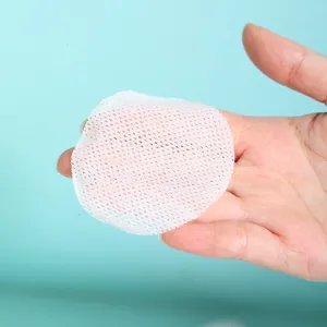 White round mesh pet cleaning wipe held in hand, soft texture designed for daily pet care.