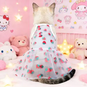 Transparent summer pet dress with colorful strawberry print, breathable cat and dog strap clothing.