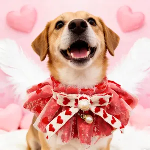 Valentine pet dog cat bib red heart lace bow pearl collar cute holiday costume accessory