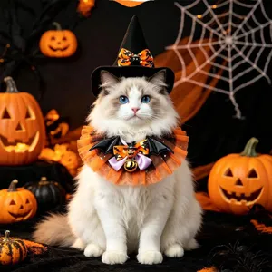 Gedetailleerd overzicht van de Halloween-kostuumset voor huisdieren met een heksenhoed.