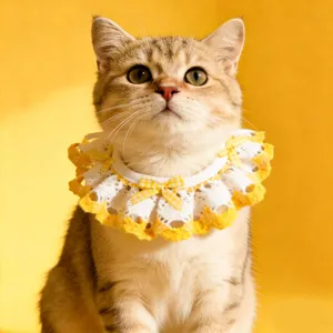 Close-up detail of a cute yellow and white checkered lace pet cat collar bib with sweet bow.