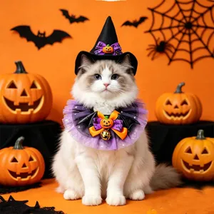 Schattige Halloween huisdier kostuumset met heksenhoed en paars slabbertje voor katten.