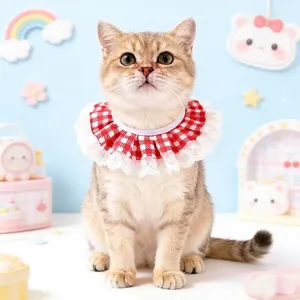 Close-up of cute red white checkered lace pet bib, perfect for cats and small dogs style.