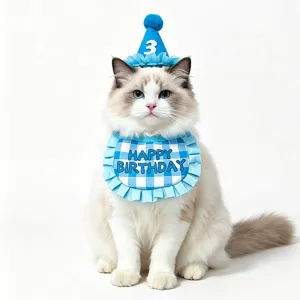 Cute blue plaid pet birthday hat and bib detail shot, lovely cat wearing party accessories.