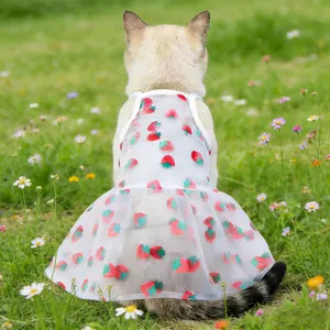 Detailed view of the cute sheer mesh pet dress with colorful strawberries, outdoor cat scene.