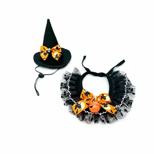 Detail Halloween heksenhoed en kanten slabbetje, feestelijk huisdier accessoire.