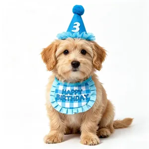Cute pet birthday hat and plaid bib set, perfect party costume accessories for dogs and cats.