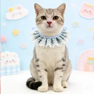 Close-up detail shot of cute blue lace pet bib collar, frilly accessory for lovely cats.