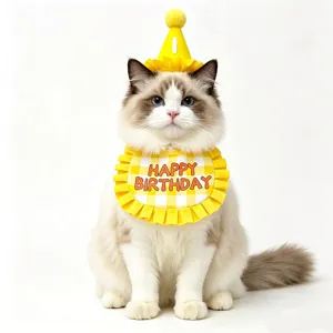 Cute pet birthday hat and checkered bib set for cats and small dogs party wear costume.