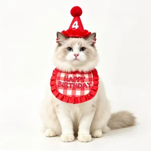 Cute pet birthday hat and red checkered bib set detail, lovely cat party costume decor