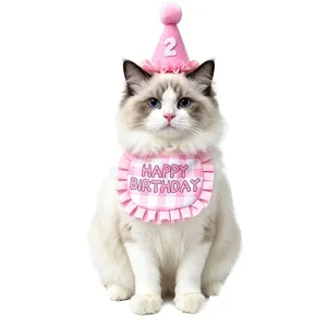 Cute pink pet birthday hat and bib detail view, perfect for cat birthday party celebration.