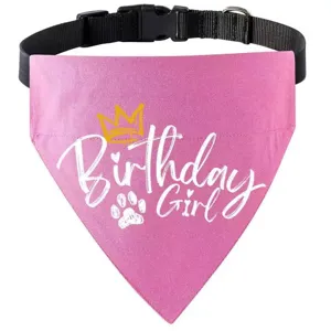 Pink pet birthday bandana detail with crown print and adjustable black collar for cats dogs