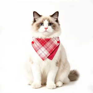 Red plaid pet bandana double-sided bib with buttons for cat and dog daily wear and cute styling